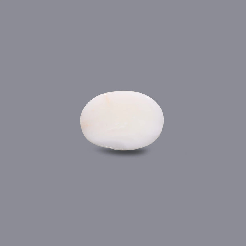 White Coral - 6.3 Carat