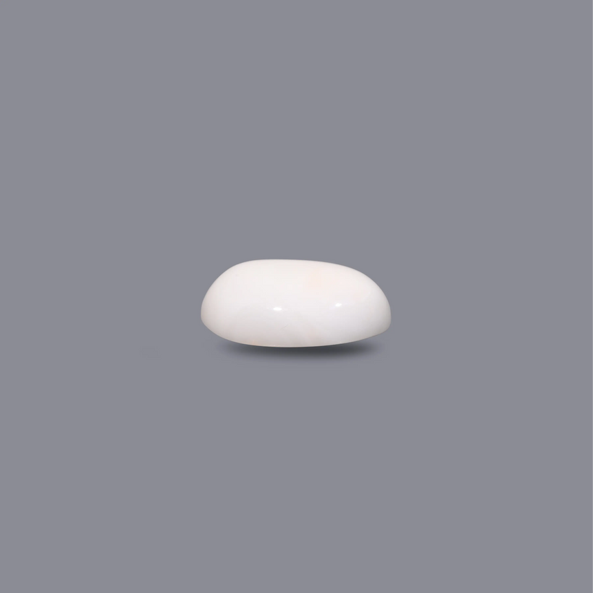 White Coral - 6.3 Carat