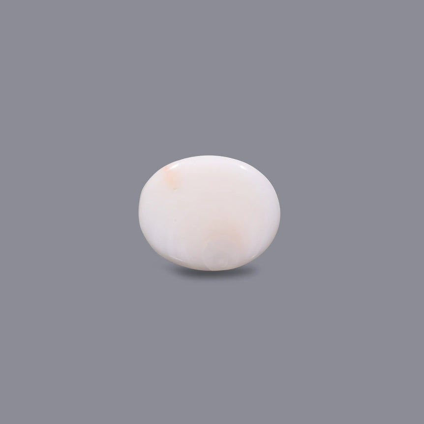 White Coral - 5.3 Carat