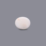 White Coral - 5.3 Carat