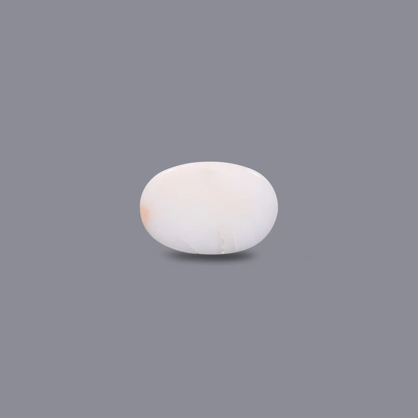 White Coral - 5.85 Carat