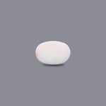 White Coral - 5.85 Carat