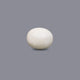 White Coral - 4.85 Carat - Pramogh