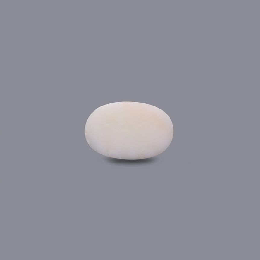 White Coral - 6.3 Carat