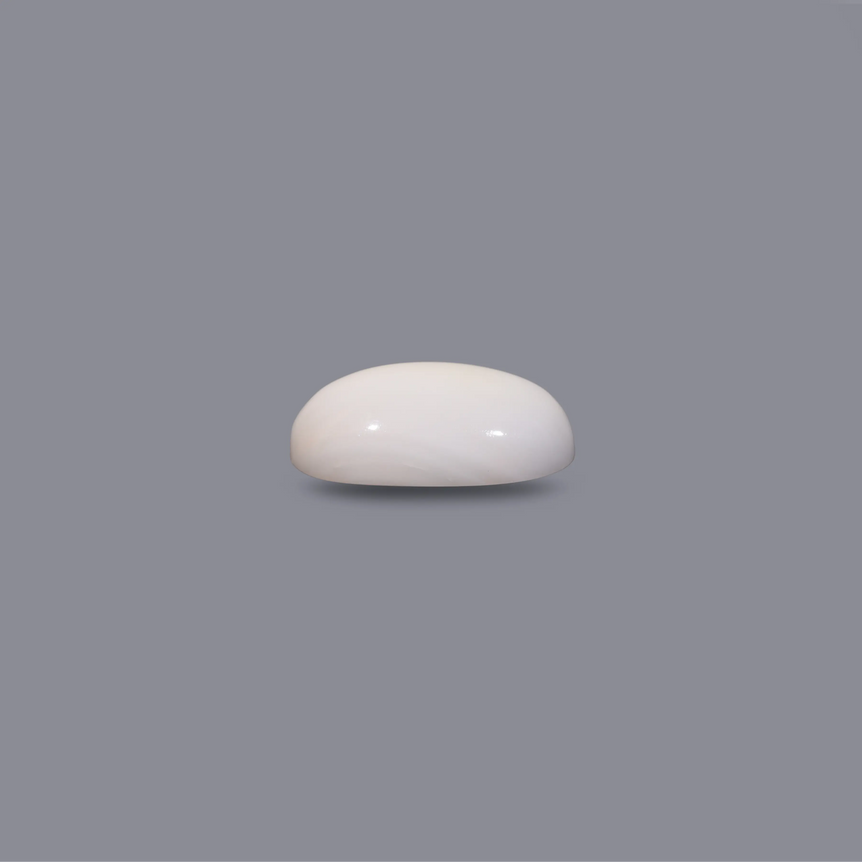 White Coral - 6.3 Carat