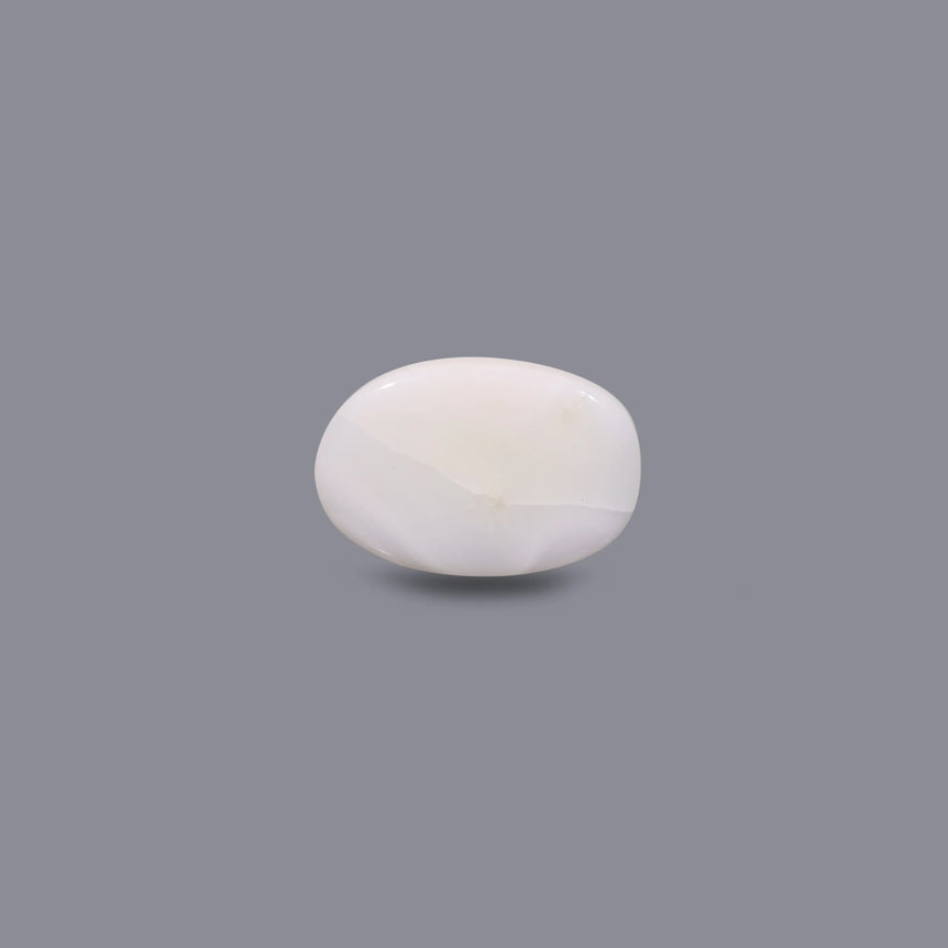 White Coral - 7.5 Carat