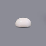 White Coral - 7.5 Carat