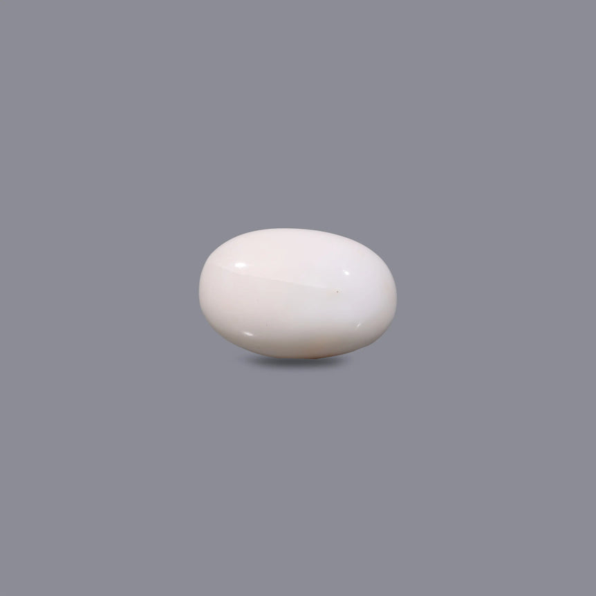 White Coral - 6.5 Carat - Pramogh