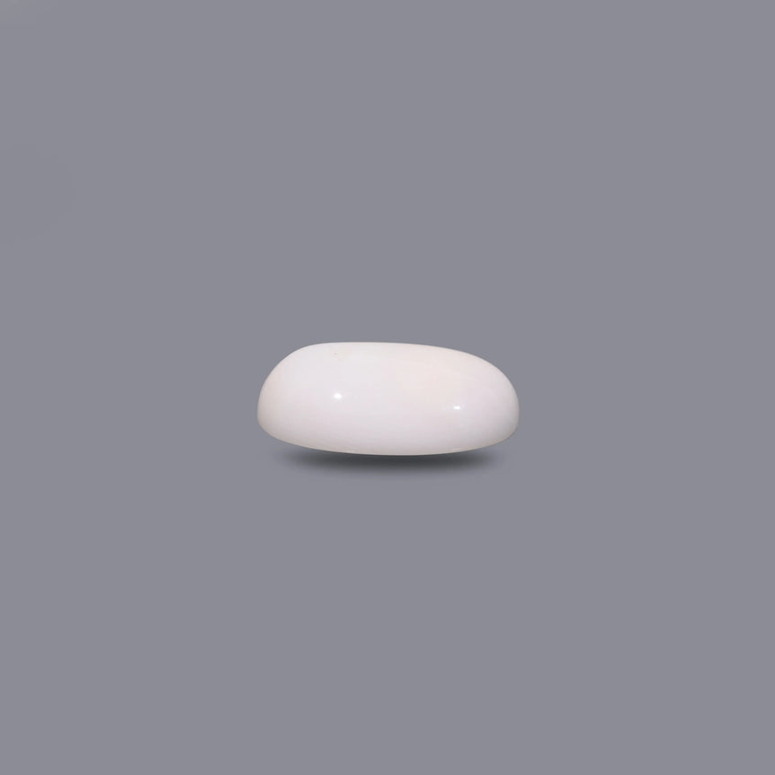 White Coral - 6.5 Carat