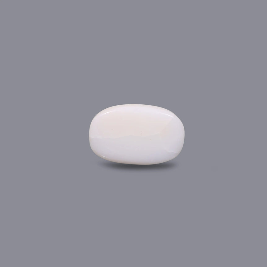 White Coral - 7.25 Carat