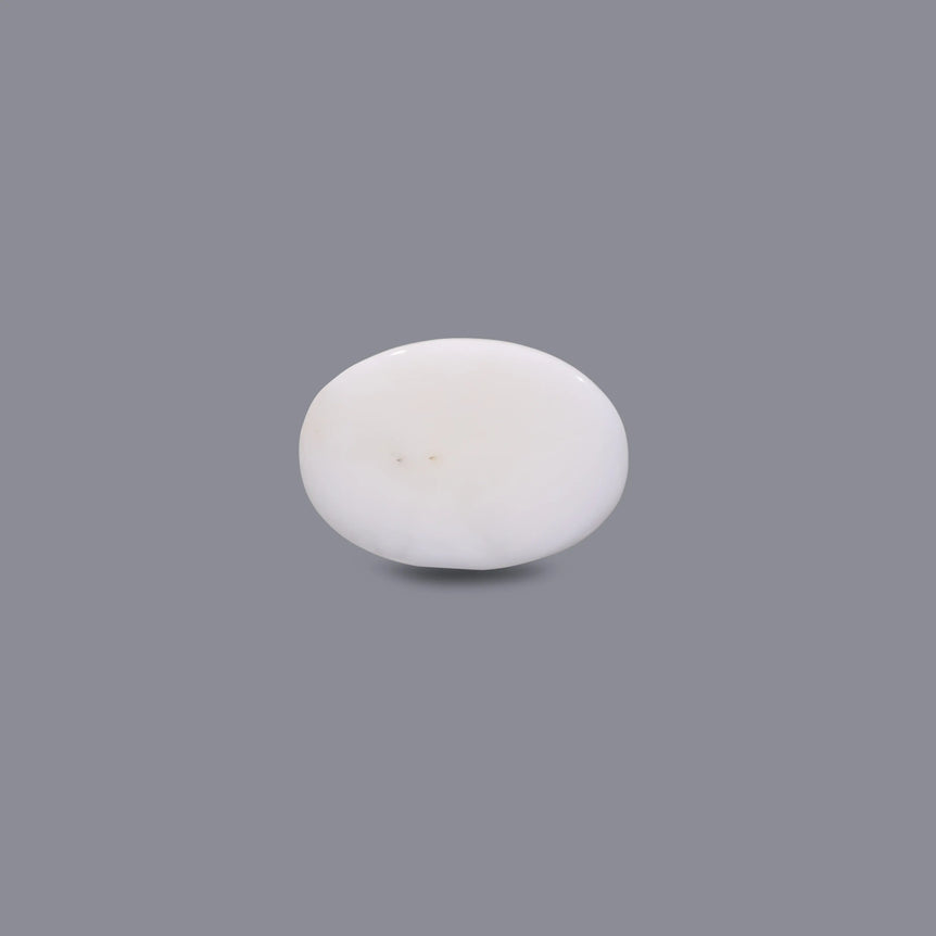 White Coral - 5.5 Carat