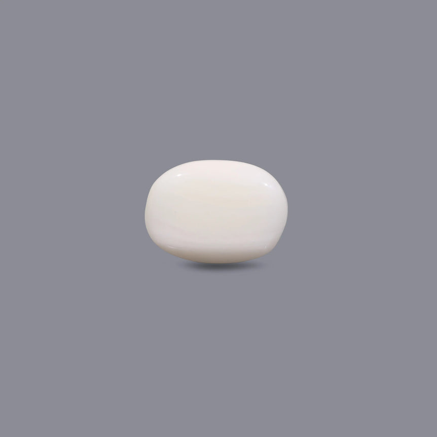 White Coral - 6.9 Carat