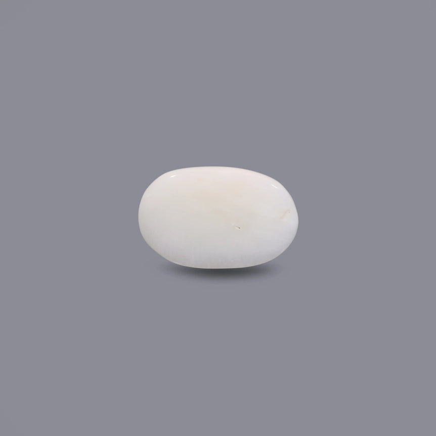 White Coral - 5.85 Carat