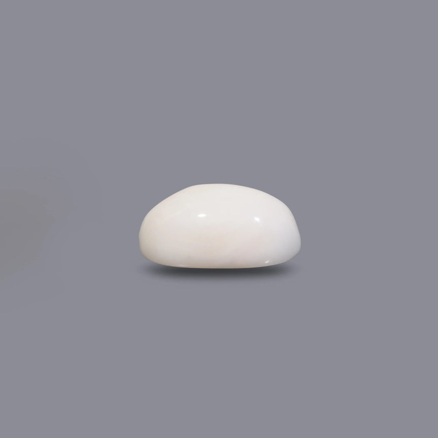 White Coral - 5.85 Carat
