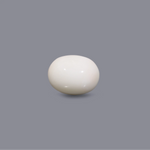 White Coral - 7.35 Carat - Pramogh
