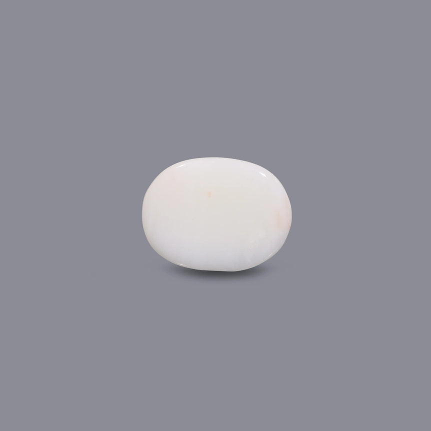 White Coral - 7.35 Carat