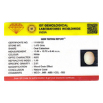 White Coral - 7.35 Carat