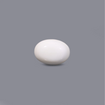 White Coral - 7.55 Carat - Pramogh