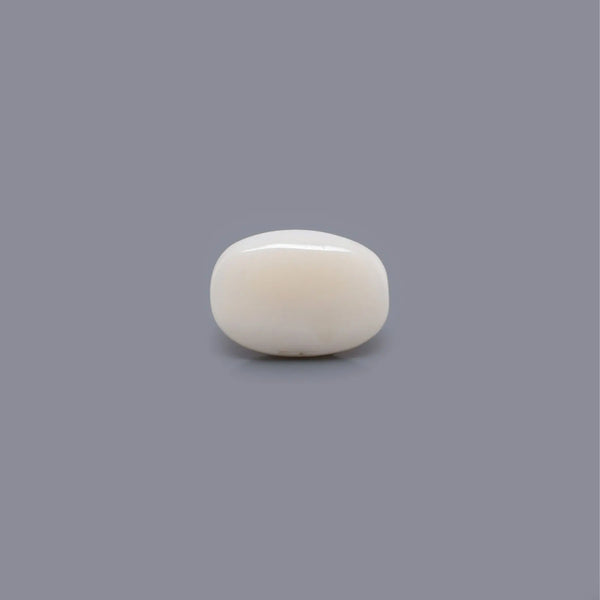 White Coral - 5.54 Carat