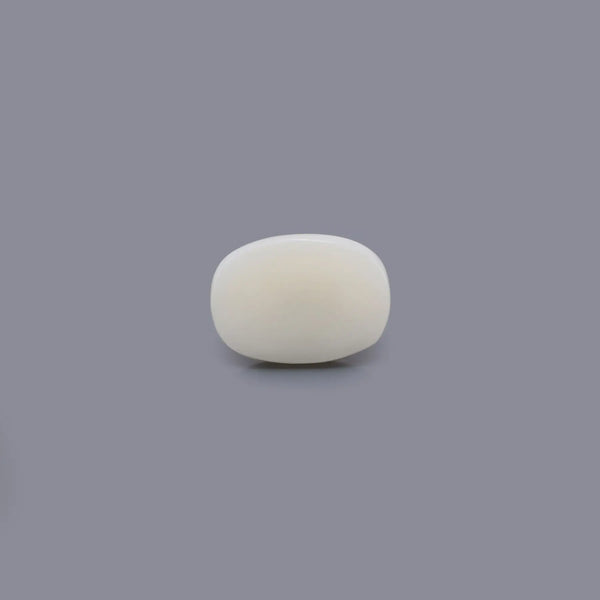 White Coral - 5.46 Carat