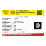 White Coral - 4.2 Carat - Pramogh