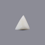 White Coral - 8.65 Carat