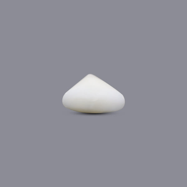 White Coral - 8.65 Carat