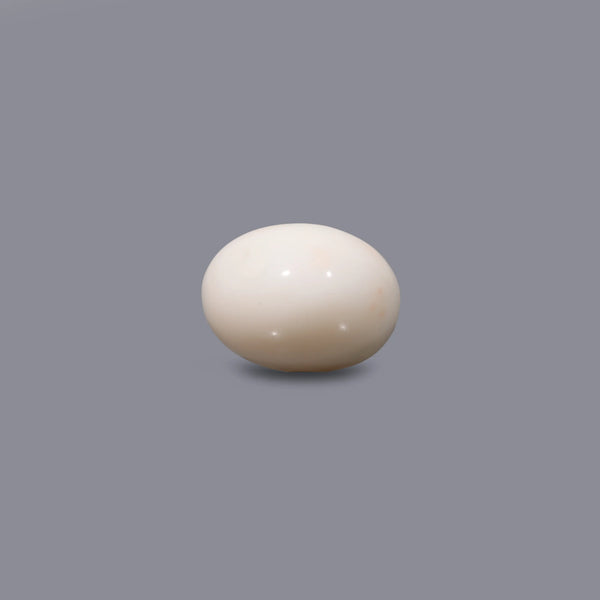 White Coral - 10 Carat - Pramogh
