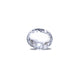 Srilankan White Sapphire - 5.15 Carat - Pramogh