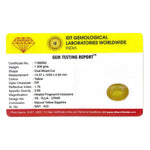Yellow Sapphire - 6.54 Carat - Pramogh