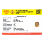 Yellow Sapphire - 3.06 Carat