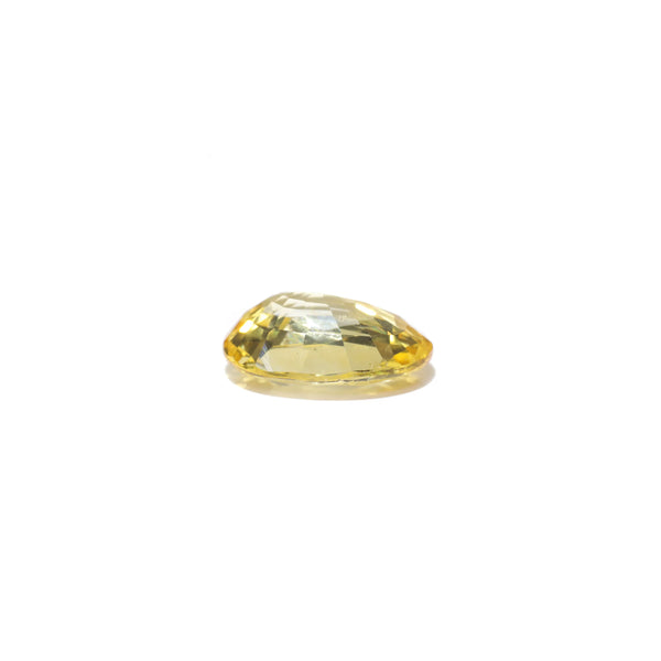 Yellow Sapphire - 3.7 Carat