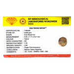 Yellow Sapphire - 3.05 Carat