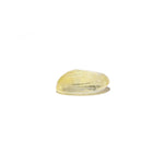 Yellow Sapphire - 6.3 Carat
