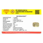 Yellow Sapphire - 6.9 Carat