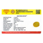 Yellow Sapphire - 4.85 Carat