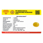 Yellow Sapphire - 9.35 Carat