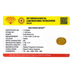 Yellow Sapphire - 5.6 Carat