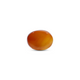 Yemeni Aqeeq - 10.05 Carat - Pramogh