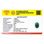 Zambian Emerald - 5.45 Carat