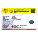 Zambian Emerald - 10.25 Carat - Pramogh
