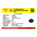 Zambian Emerald - 6.05 Carat