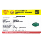 Zambian Emerald - 6.55 Carat