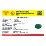 Zambian Emerald - 6.05 Carat
