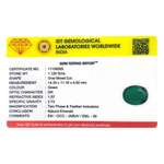 Zambian Emerald - 5.6 Carat