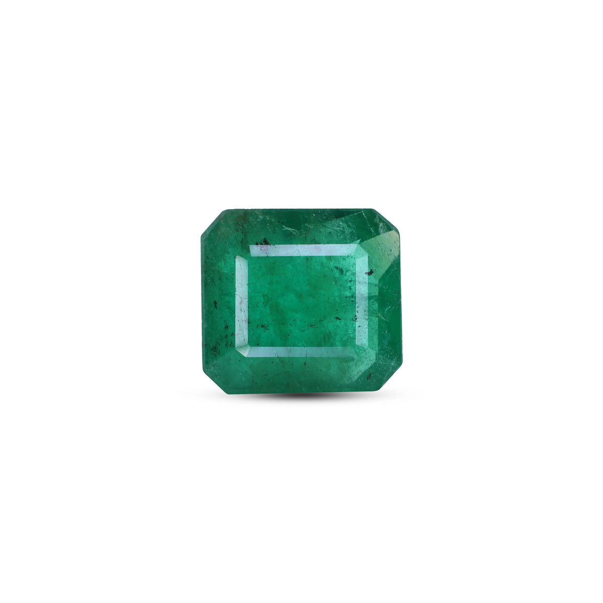 Zambian Emerald (Panna) - 3.63 Carat - Pramogh