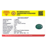 Zambian Emerald - 4.5 Carat