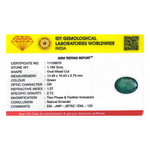Zambian Emerald - 5.9 Carat