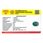 Zambian Emerald - 7.1 Carat