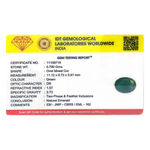 Zambian Emerald - 3.9 Carat